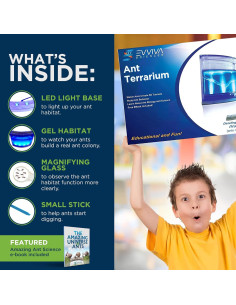 Evviva Hábitat de Hormigas LED 16.5x15.2cm Kit Educativo 2