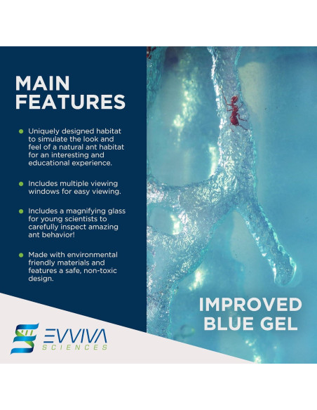 Evviva Hábitat de Hormigas LED 16.5x15.2cm Kit Educativo