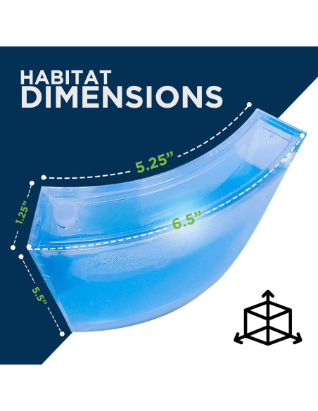 Evviva Hábitat de Hormigas LED 16.5x15.2cm Kit Educativo