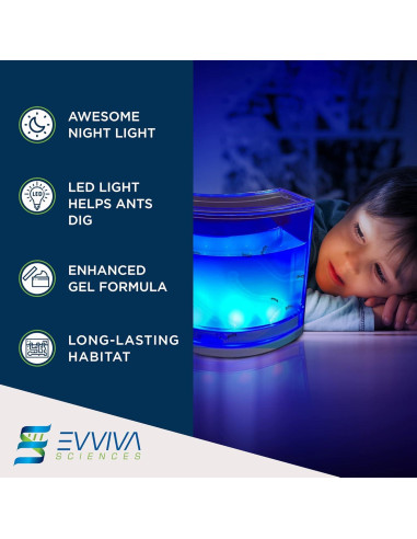 Evviva Hábitat de Hormigas LED 16.5x15.2cm Kit Educativo
