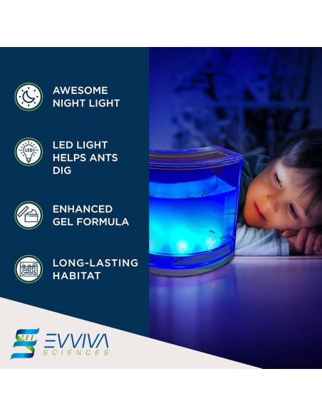 Evviva Hábitat de Hormigas LED 16.5x15.2cm Kit Educativo