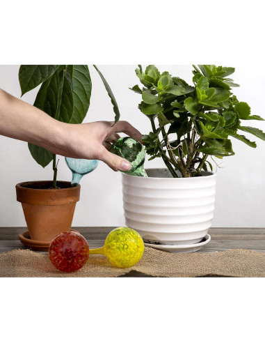 Esferas de Autorriego Besti - Juego de 6 Multicolor