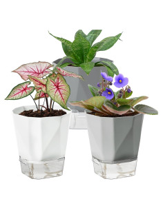 Paquete de 3 macetas autorriego Samhe 12.45 cm jardín