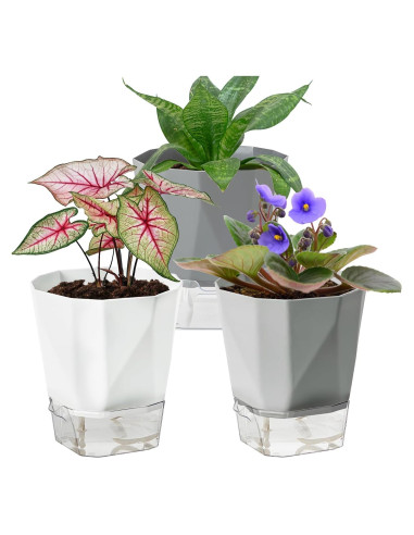 Paquete de 3 macetas autorriego Samhe 12.45 cm jardín