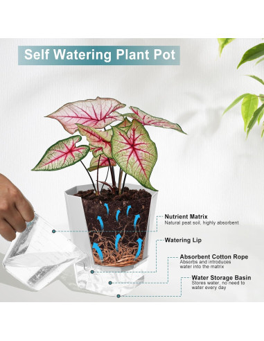 Paquete de 3 macetas autorriego Samhe 12.45 cm jardín