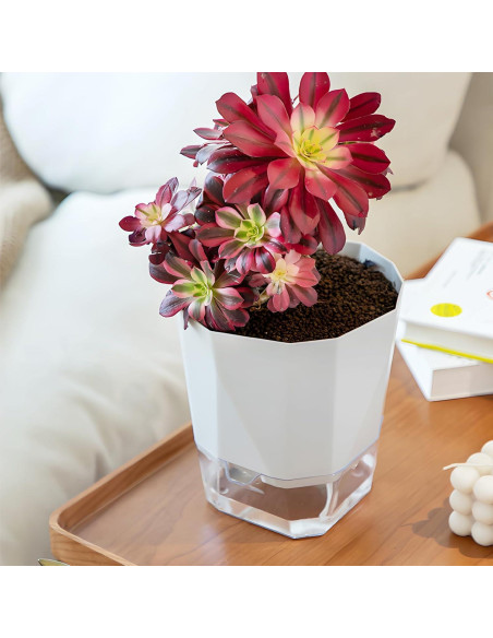 Paquete de 3 macetas autorriego Samhe 12.45 cm jardín