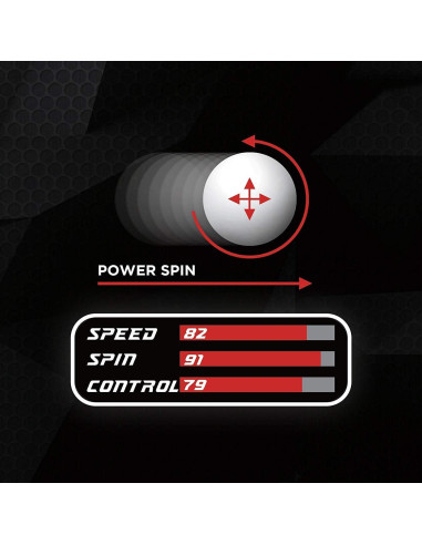 Paleta de Ping Pong SPORT GAME PRO spgmpro-r22-1 - Funda Incluida