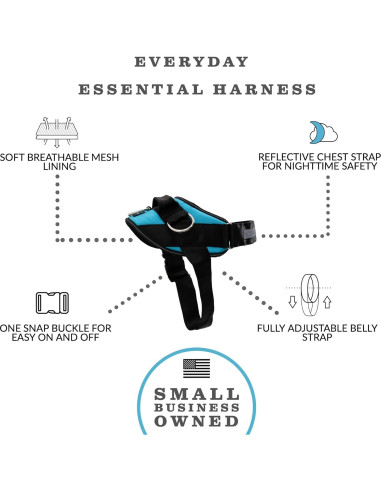 Arnés Esencial ShawnCo Azul Oceánico S Antitirones Ajustable