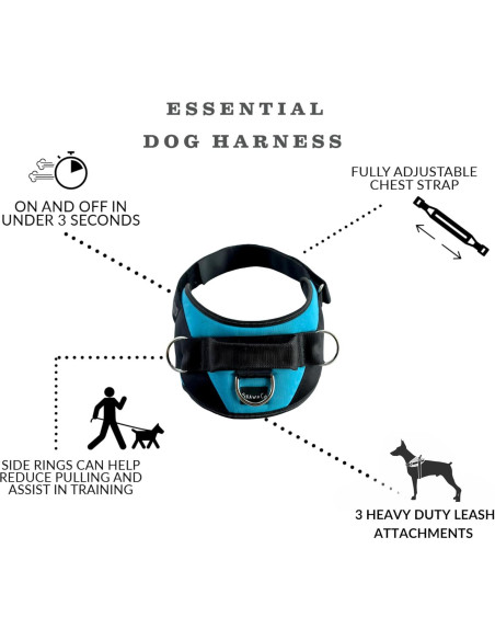 Arnés Esencial ShawnCo Azul Oceánico S Antitirones Ajustable