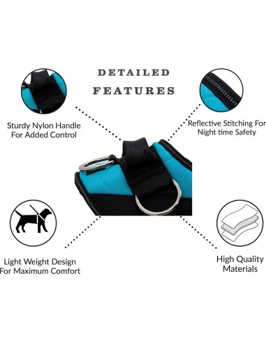 Arnés Esencial ShawnCo Azul Oceánico S Antitirones Ajustable