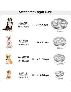 Cuenco para Perros Feedoo 3 Tazas Acero Inoxidable Antideslizante 2