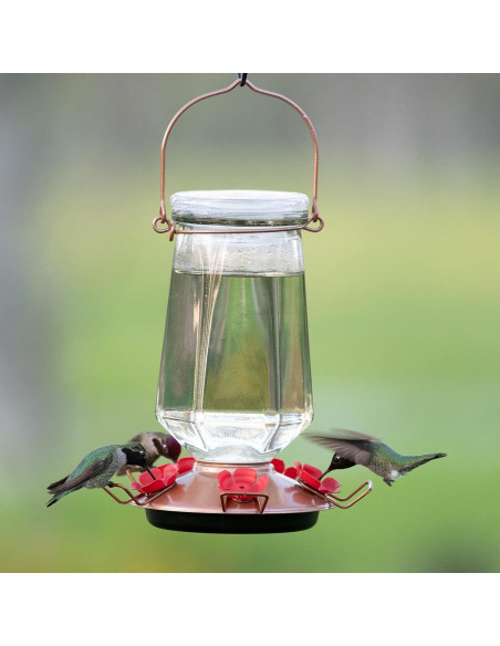 Alimentador de Colibríes Perky-Pet 9109-1SR Vidrio 0,83 L Bronce