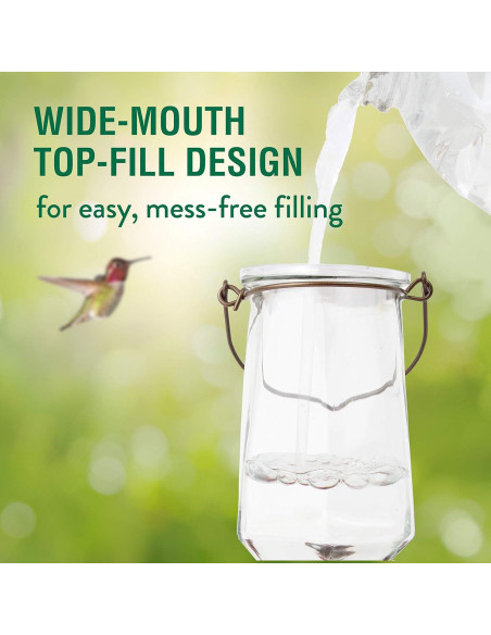 Alimentador de Colibríes Perky-Pet 9109-1SR Vidrio 0,83 L Bronce