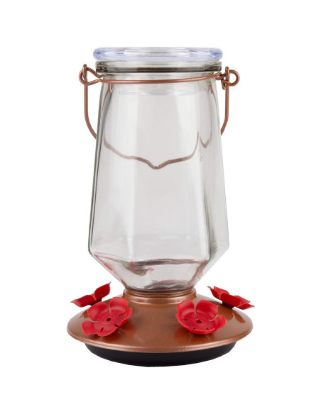 Alimentador de Colibríes Perky-Pet 9109-1SR Vidrio 0,83 L Bronce