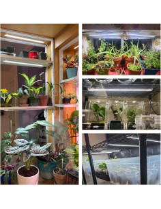 Luz de Crecimiento Wiaxulay 6000K LED con Temporizador 40cm 2