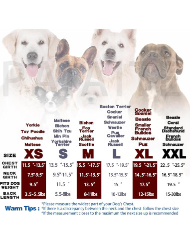 Sudadera para Perros Paiaite Mediana Gris Suave y Ligera