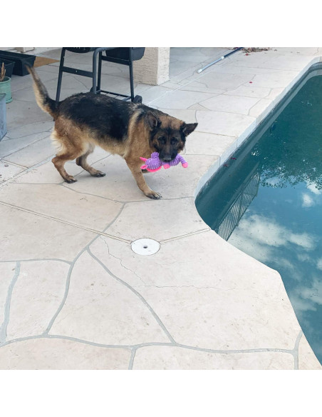 Paquete de 5 Juguetes de Peluche Jalousie para Perros