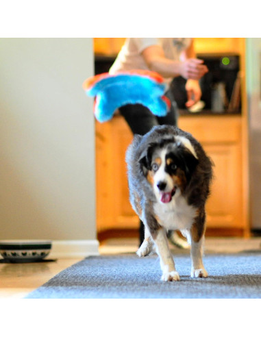 Chuckit! Juguete de Ardilla para Fetch Interiores 22,86 cm