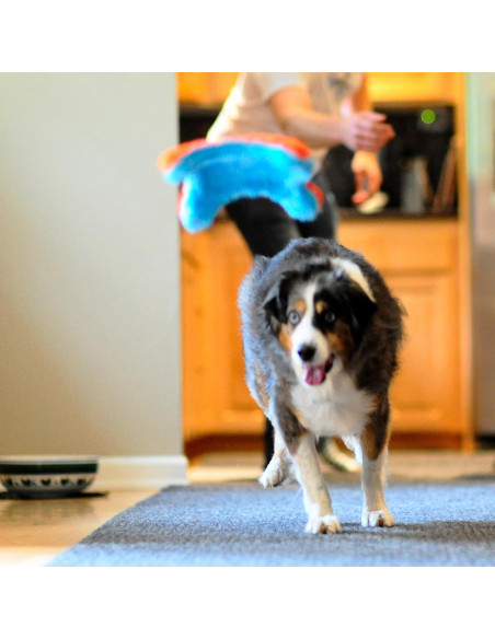 Chuckit! Juguete de Ardilla para Fetch Interiores 22,86 cm