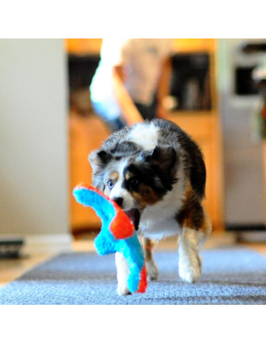 Chuckit! Juguete de Ardilla para Fetch Interiores 22,86 cm