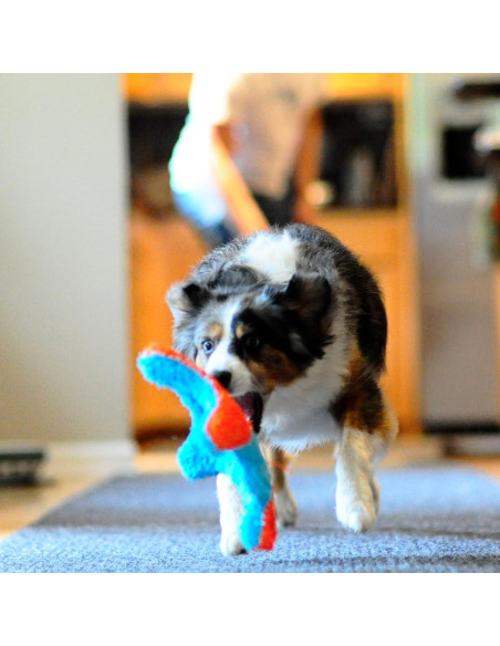 Chuckit! Juguete de Ardilla para Fetch Interiores 22,86 cm