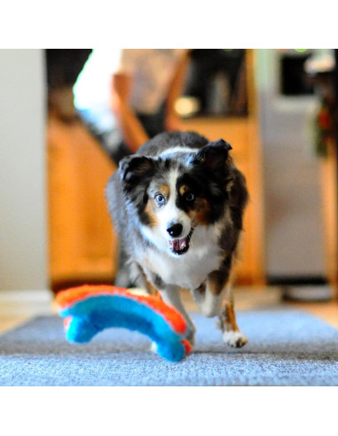 Chuckit! Juguete de Ardilla para Fetch Interiores 22,86 cm