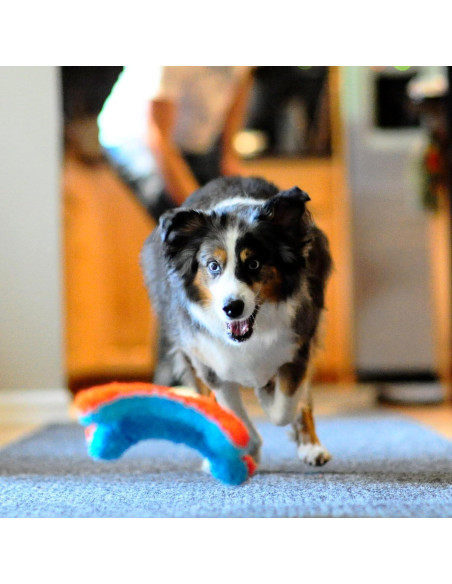 Chuckit! Juguete de Ardilla para Fetch Interiores 22,86 cm