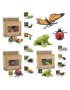 Juguete Educativo Ciclo de Vida Insectos MIKNEKE 3 Figuras