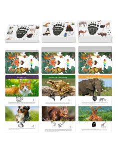 Juego de Cartas de Huellas de Animales MEROCO 168 Piezas