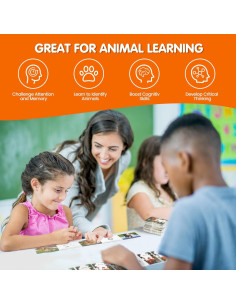 Juego de Cartas de Huellas de Animales MEROCO 168 Piezas 2