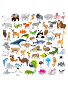 Imán de Animales del Zoológico SpriteGru 59 Piezas Educativo