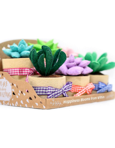 Kit de Manualidades de Fieltro Jardín Brillante - 6 Suculentas 8.9 cm