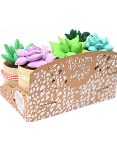 Kit de Manualidades de Fieltro Jardín Brillante - 6 Suculentas 8.9 cm