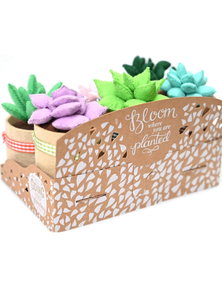Kit de Manualidades de Fieltro Jardín Brillante - 6 Suculentas 8.9 cm