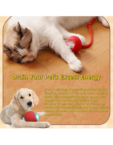 Bola Interactiva para Mascotas XinHai, Juguete Automático Verde