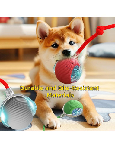Bola Interactiva para Mascotas XinHai, Juguete Automático Verde