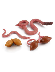 Conjunto Ciclo de Vida de Lombriz LC JoyCre 4 Figuras Educativas