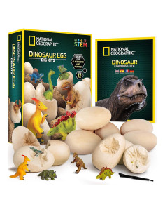 Kit Excavación Dinosaurios National Geographic - 12 Huevos