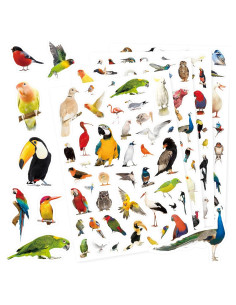 Pegatinas de Aves Genérico 850 Piezas Tropicales