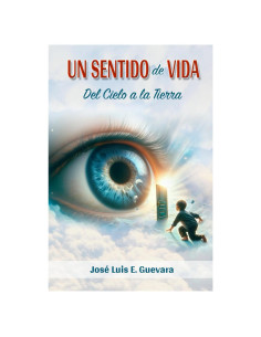 Un Sentido De Vida: del Cielo a la Tierra (Spanish Edition)