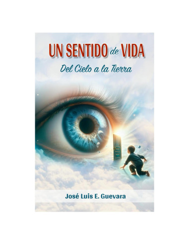 Un Sentido De Vida: del Cielo a la Tierra (Spanish Edition)
