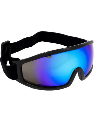 Gafas de Esquí Birdz Robin Lentes Espejo Azul UV400