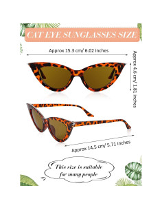 Gafas de Sol Retro Ojo de Gato Leinuosen 8 Pares Coloridas 2