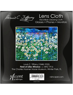 Paño de limpieza microfibra RainCaper 15x15 cm arte fino 2