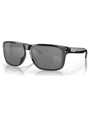 Gafas de sol Oakley Holbrook XL para hombres + Kit de cuidado