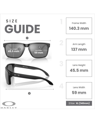 Gafas de sol Oakley Holbrook XL para hombres + Kit de cuidado