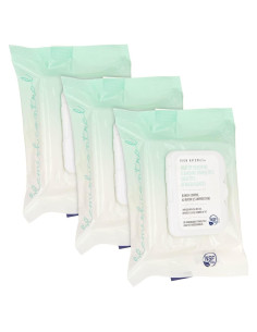 Toallitas Desmaquillantes Blum Naturals Piel Mixta 90 Unidades