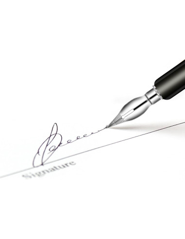 Juego de Pluma de Buceo Mozeat Lens con 10 Puntas de Caligrafía