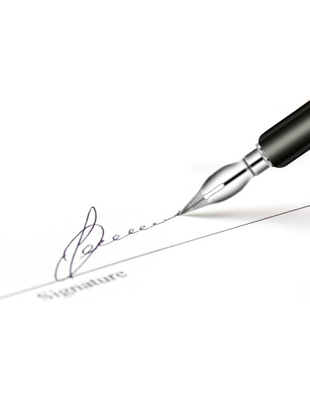 Juego de Pluma de Buceo Mozeat Lens con 10 Puntas de Caligrafía