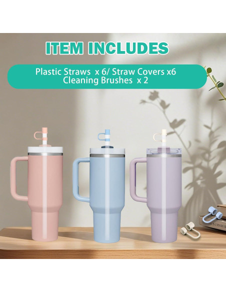 Pajitas Reutilizables HEYSKAY 6pc para Taza Stanley 30oz 40oz